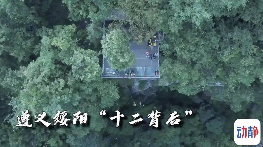 倍轻松、未野、易舒生C5腰部按摩器好用嘛?测评哪家最护腰!